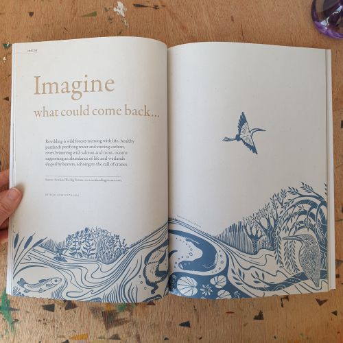 Open book with text 'Imagine what could come back' and nature drawings