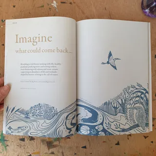 Open book with text 'Imagine what could come back' and nature drawings