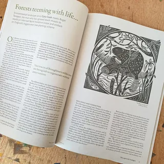 Open book with forest article and black and white woodcut illustration