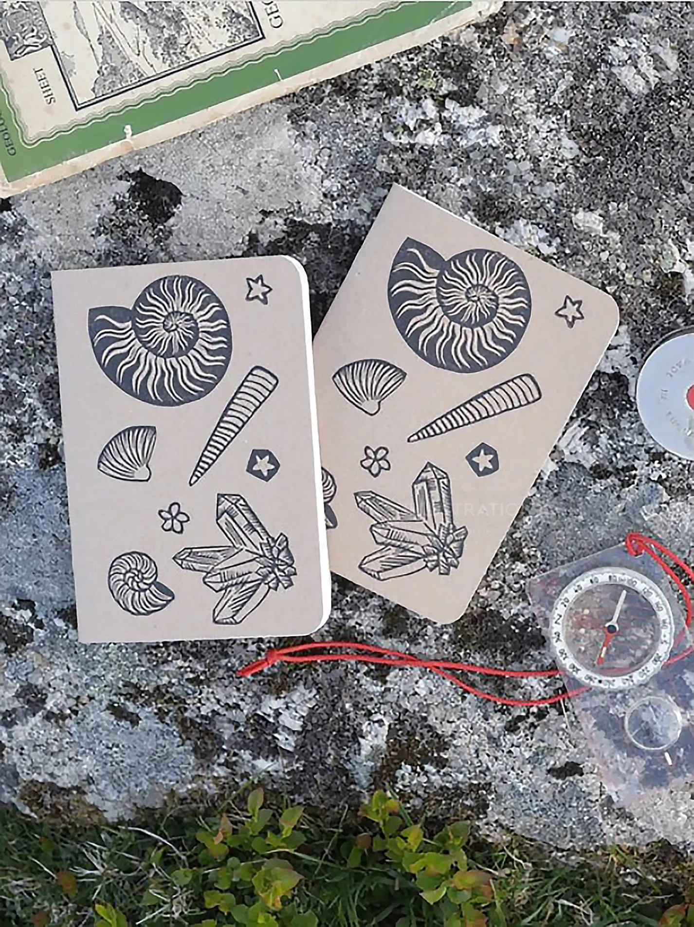 Two notebooks with fossil linocut covers on rock with compass and map by Becca Thorne
