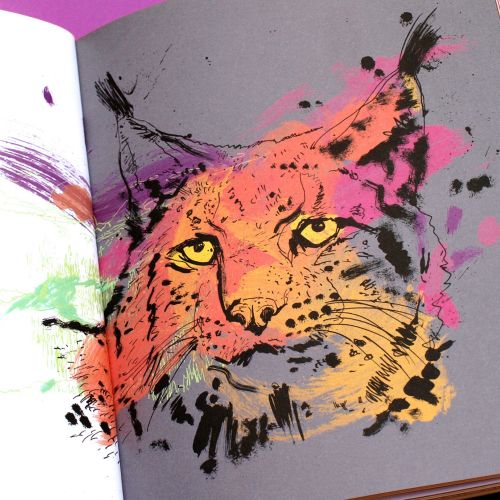 Lynx watercolor illustration