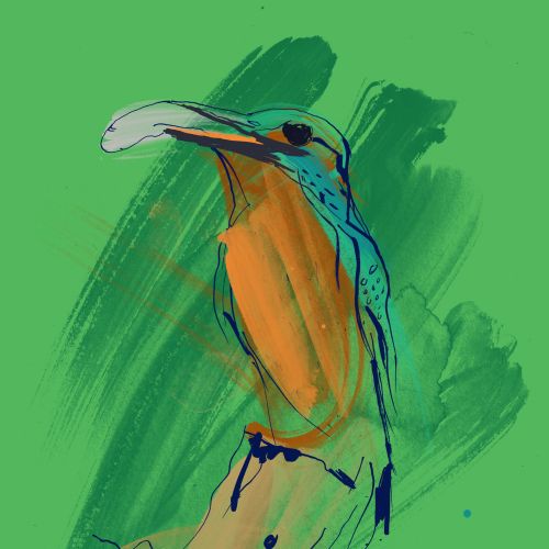 Hand-painted Kingfisher art using watercolor and ink