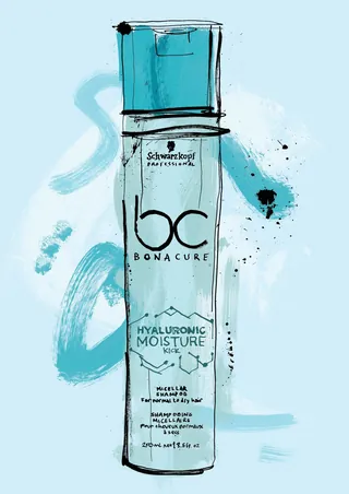 Product sketch for Schwarzkopf