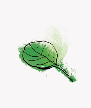 Illustration of a green leaf with watercolor texture