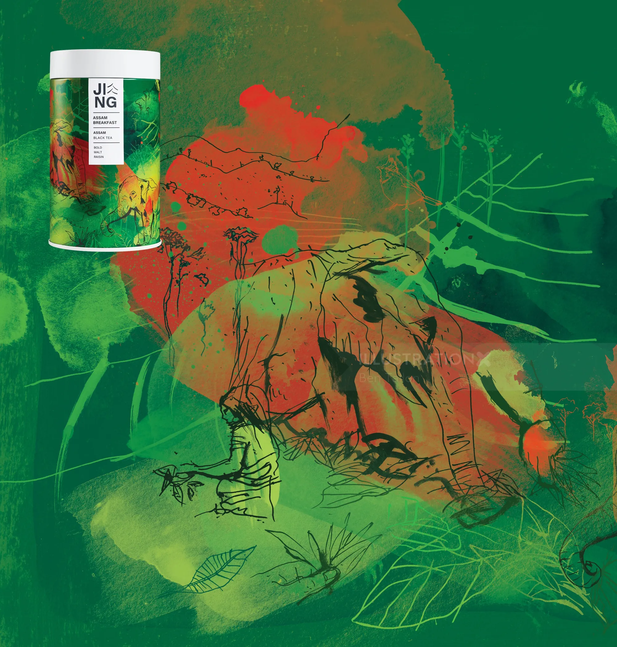 JING Tea packaging and abstract green and red illustration by Ben Tallon