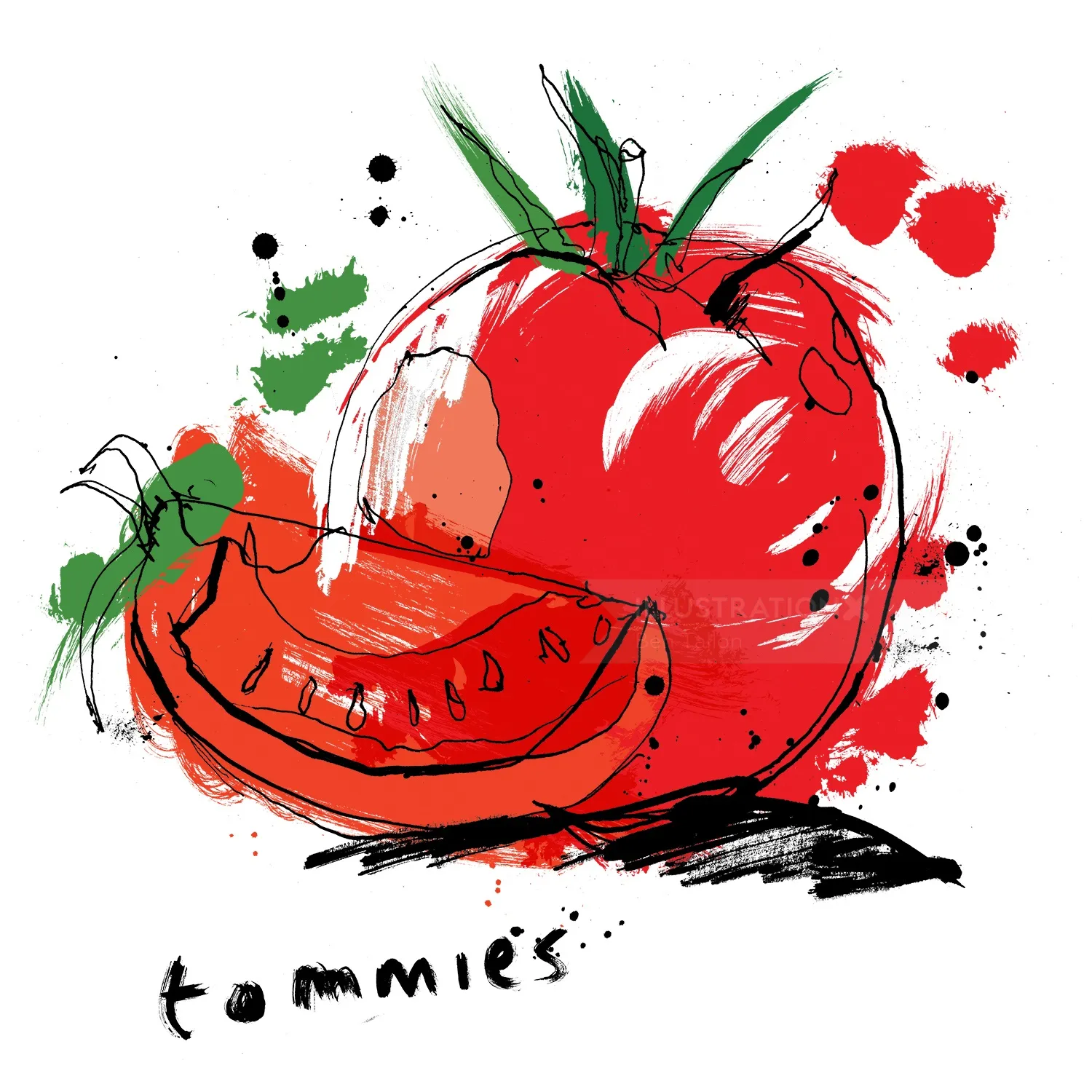 Tomato watercolor illustration