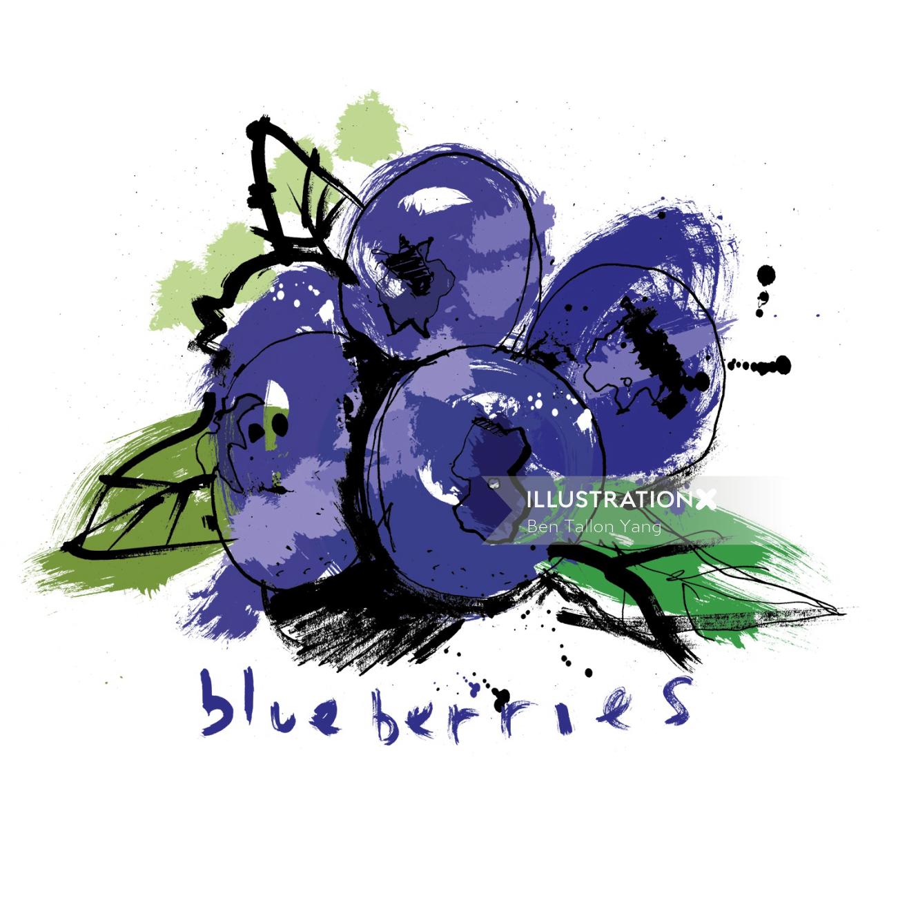 Watercolor drawing of Blueberries