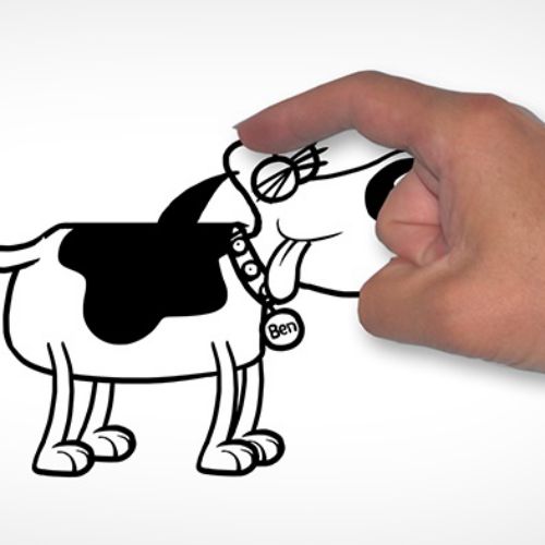 Dan'd Dog animation
