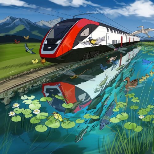 Björn von Schlippe Storyboard & Layout Illustrator from Germany