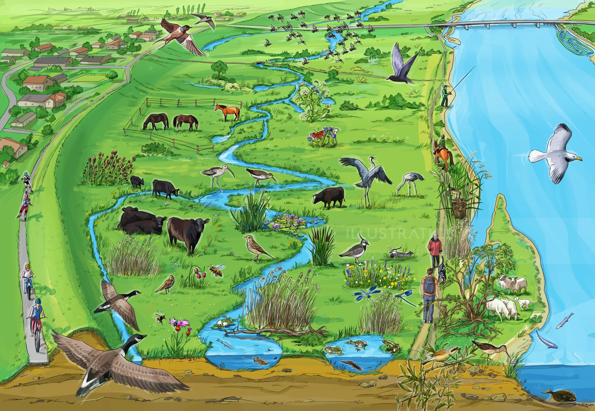Wetland scene with various animals and birds by a river, artwork by Björn von Schlippe