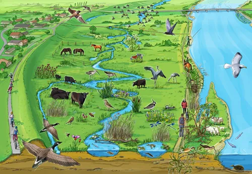 Wetland scene with various animals and birds by a river, artwork by Björn von Schlippe