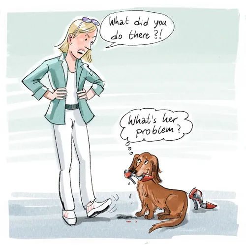 Woman upset at dog with a chewed shoe in its mouth
