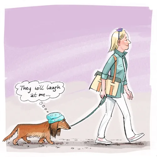 Dachshund wearing blue hat feeling self-conscious while walking on leash.