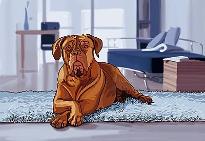 Brown dog resting on a blue rug in a modern living room by Björn von Schlippe