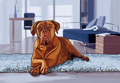 Brown dog resting on a blue rug in a modern living room by Björn von Schlippe