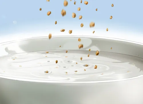 Cereal falling into milk bowl by Björn von Schlippe