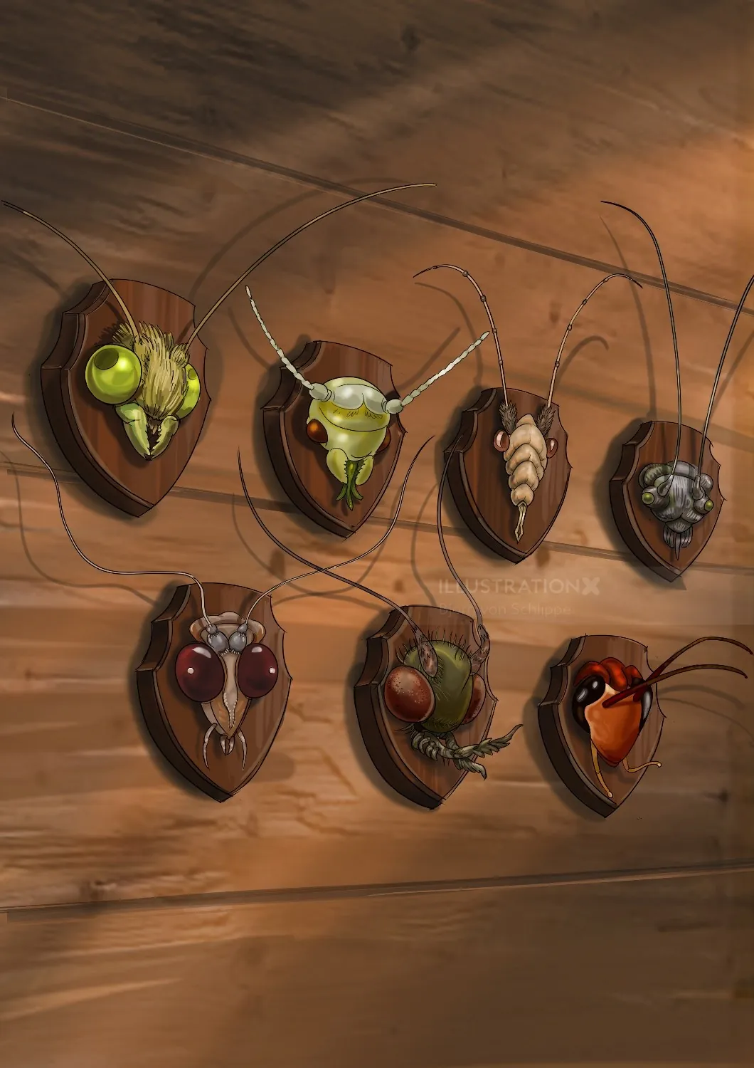 Mounted insect heads displayed on wooden plaques by Björn von Schlippe
