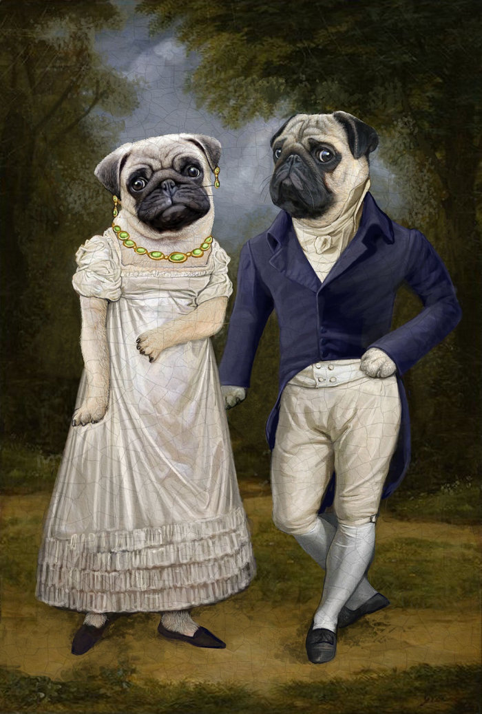 Animal Pug dog couple