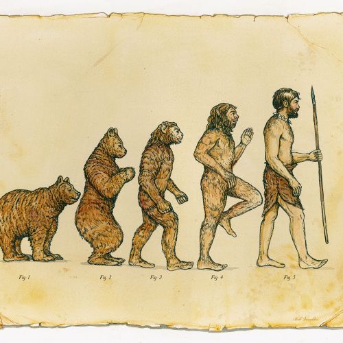 Editorial illustration of Human Evolution