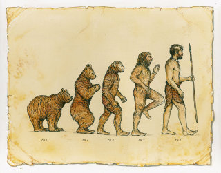 Ilustración editorial de la evolución humana.