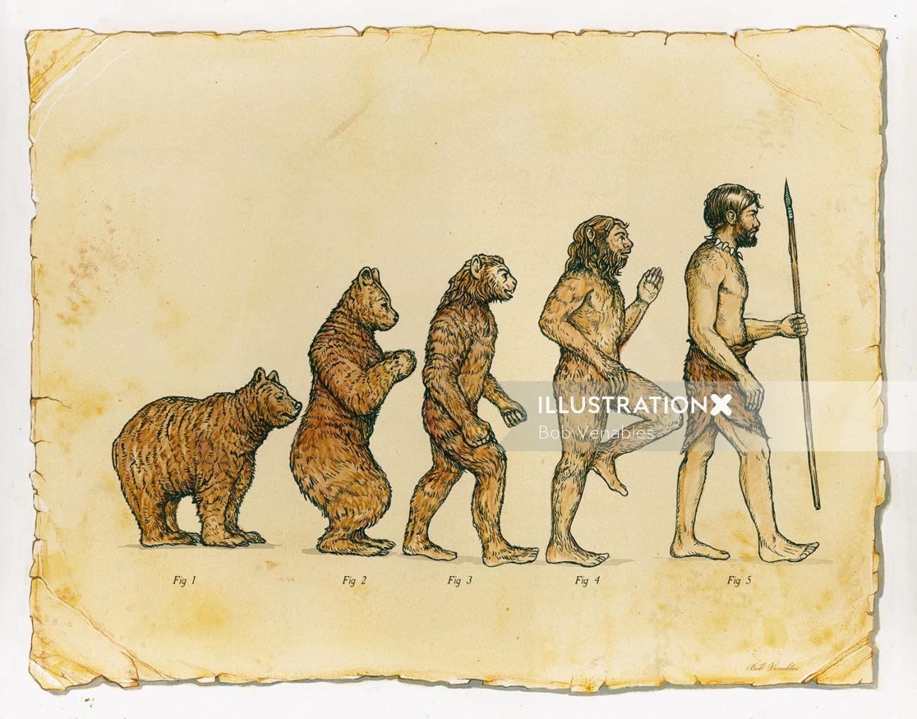 Editorial illustration of Human Evolution