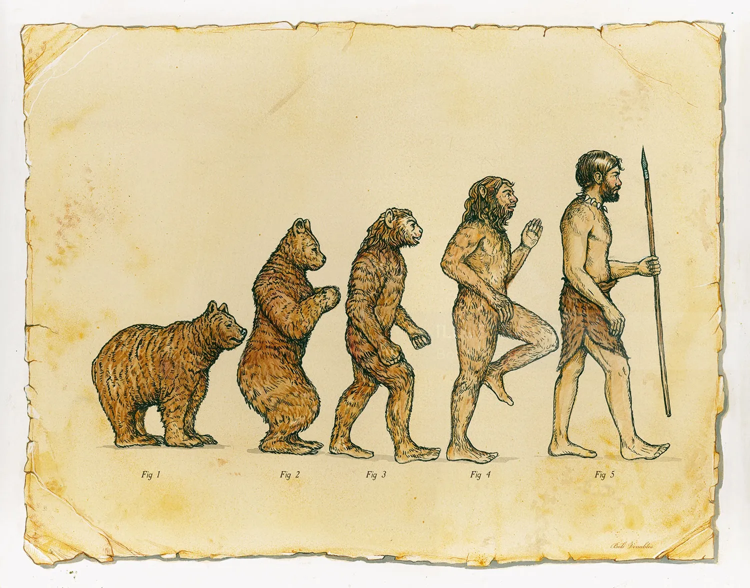 Editorial illustration of Human Evolution