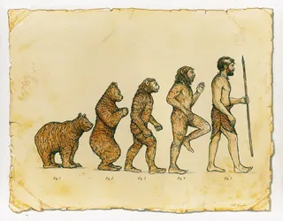 Editorial illustration of Human Evolution