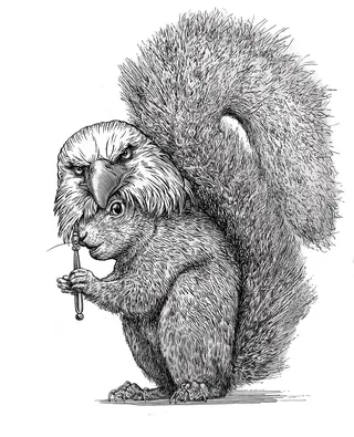 Animal Squirrel black and white art