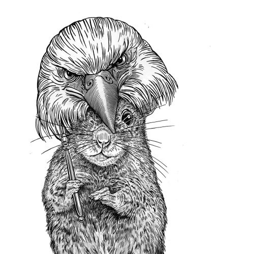 Animal Rat & Eagle black and white illustration
