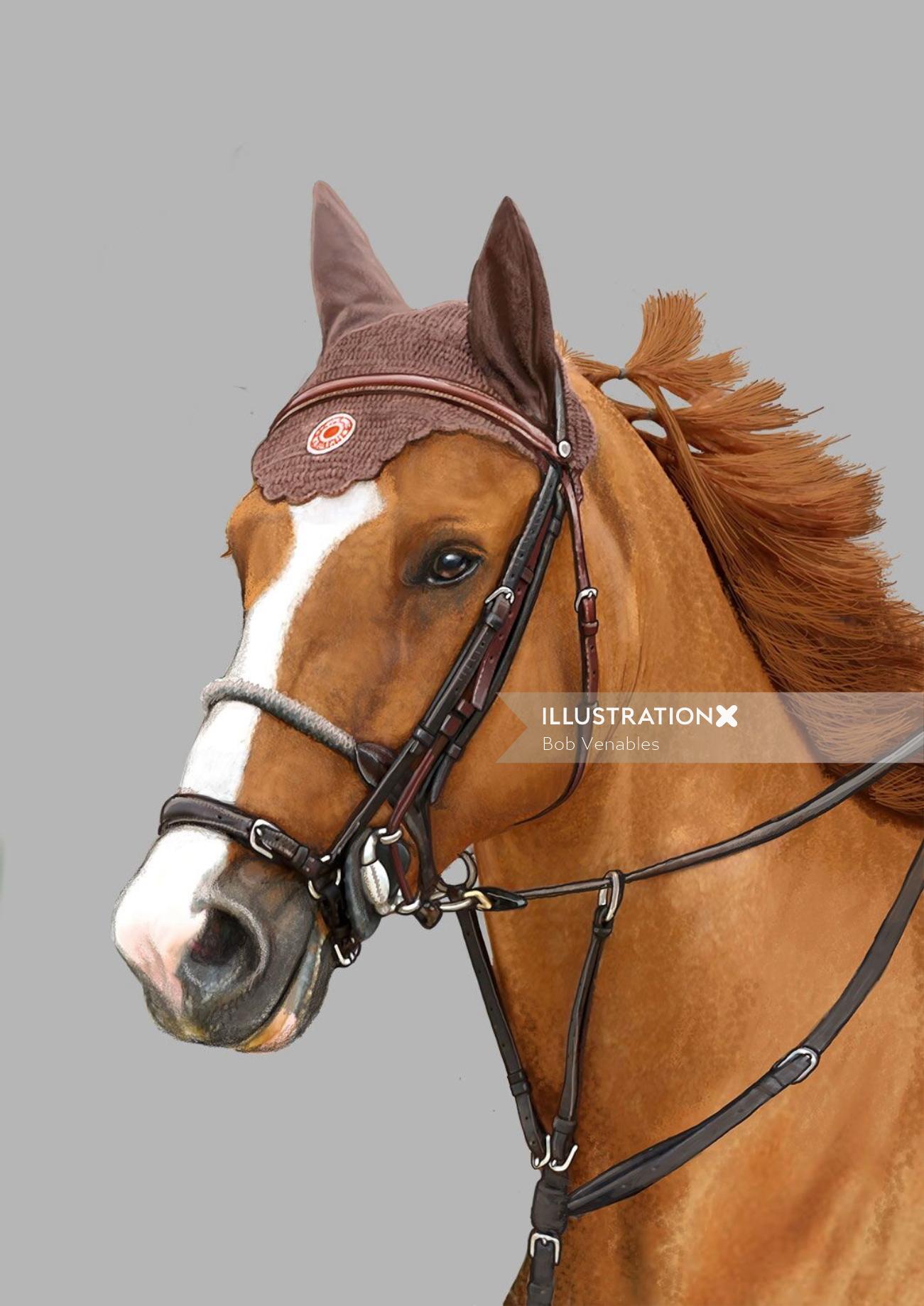 Horse portrait illustration 