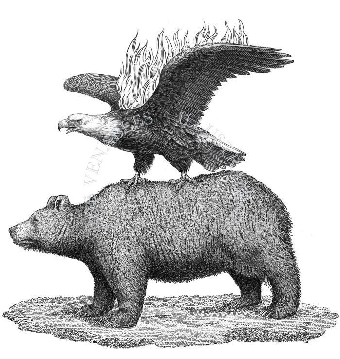 Eagle & bear black and white illustration