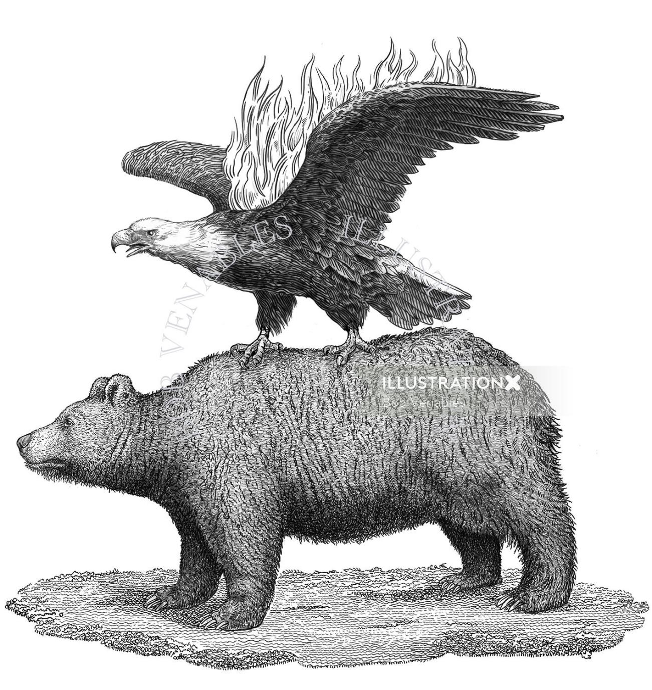 Aigle et ours illustration noir et blanc