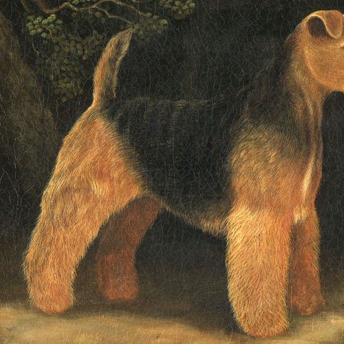 Welsh Terrier Dog painting