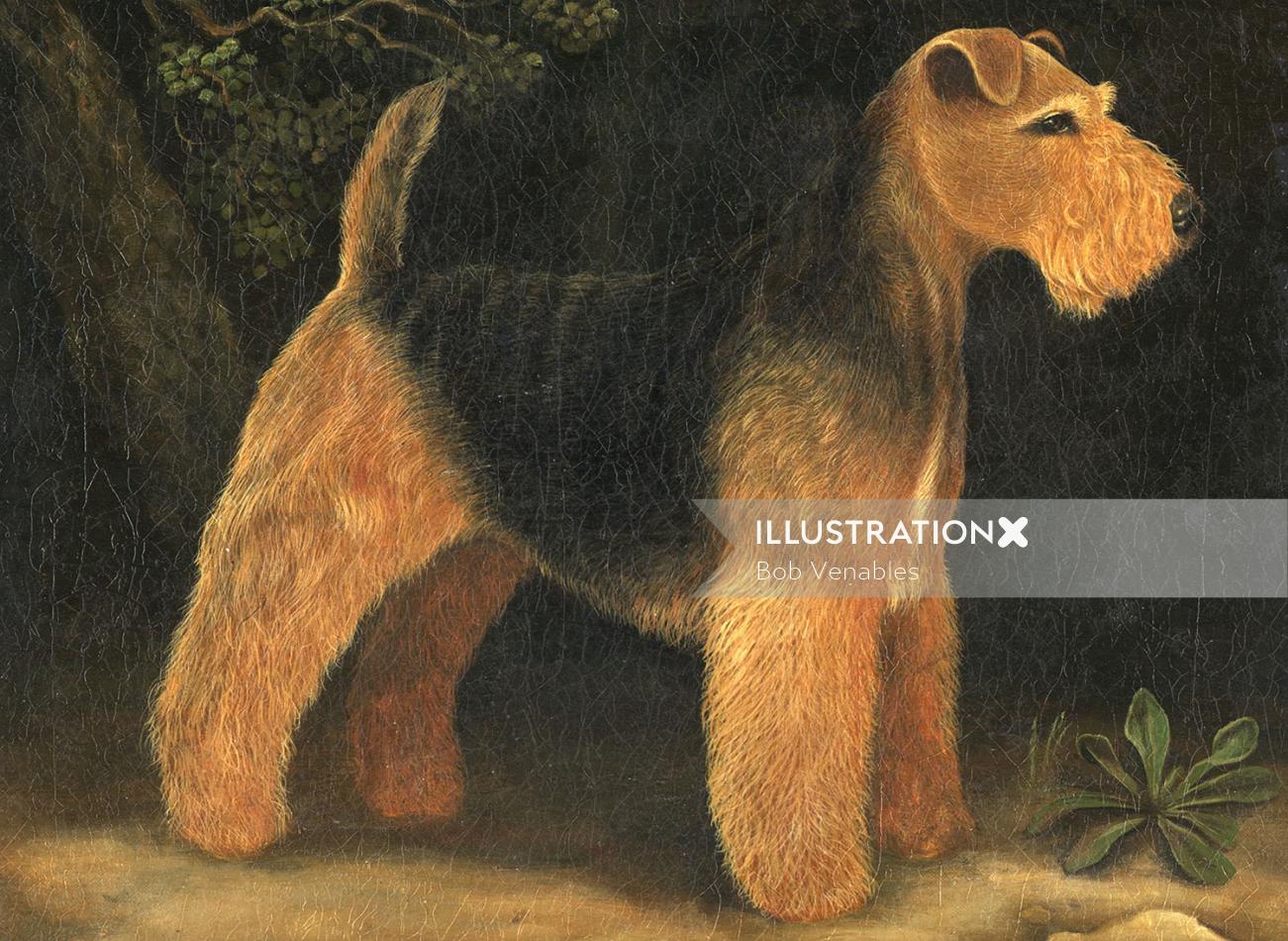 ウェルシュテリア犬の絵