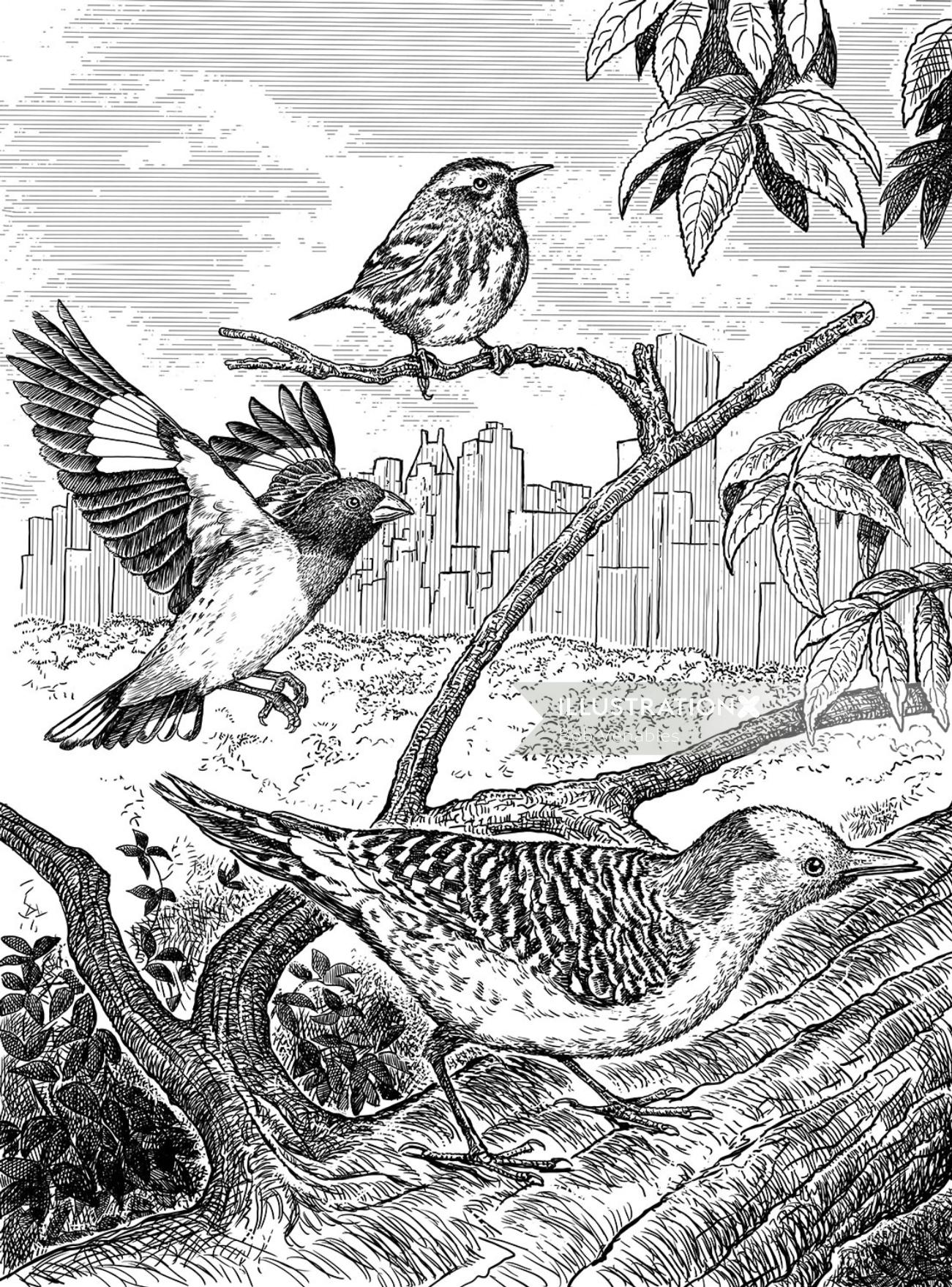 Pássaros na ilustração a preto e branco da árvore