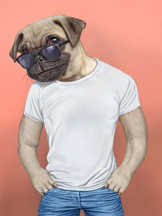 Pug dog in white t-shirt and sunglasses digital art by Bob Venables