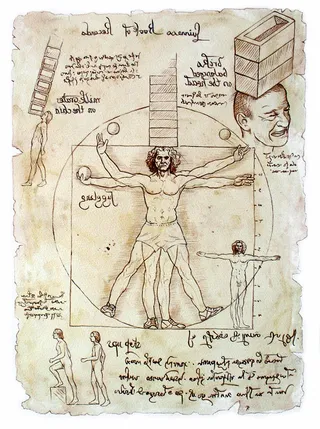 Infographic Vitruvian Man