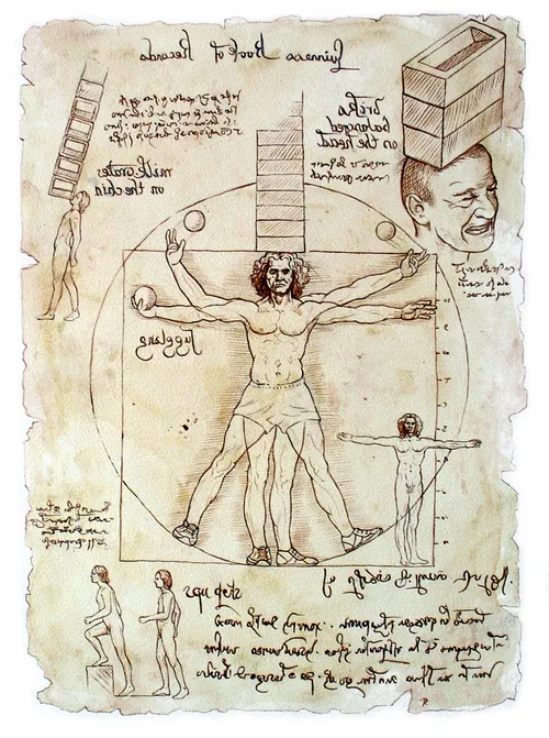 Infographic Vitruvian Man