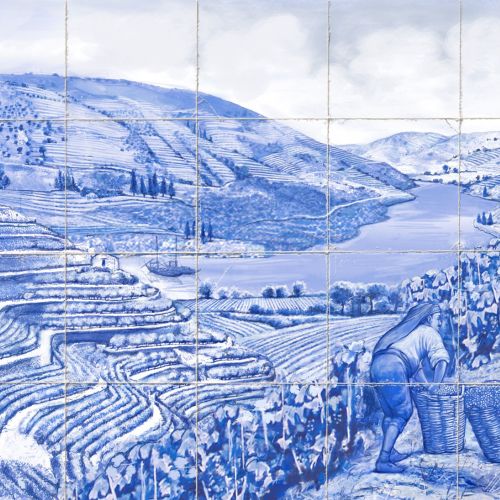 Vineyard landscape acrylic painting