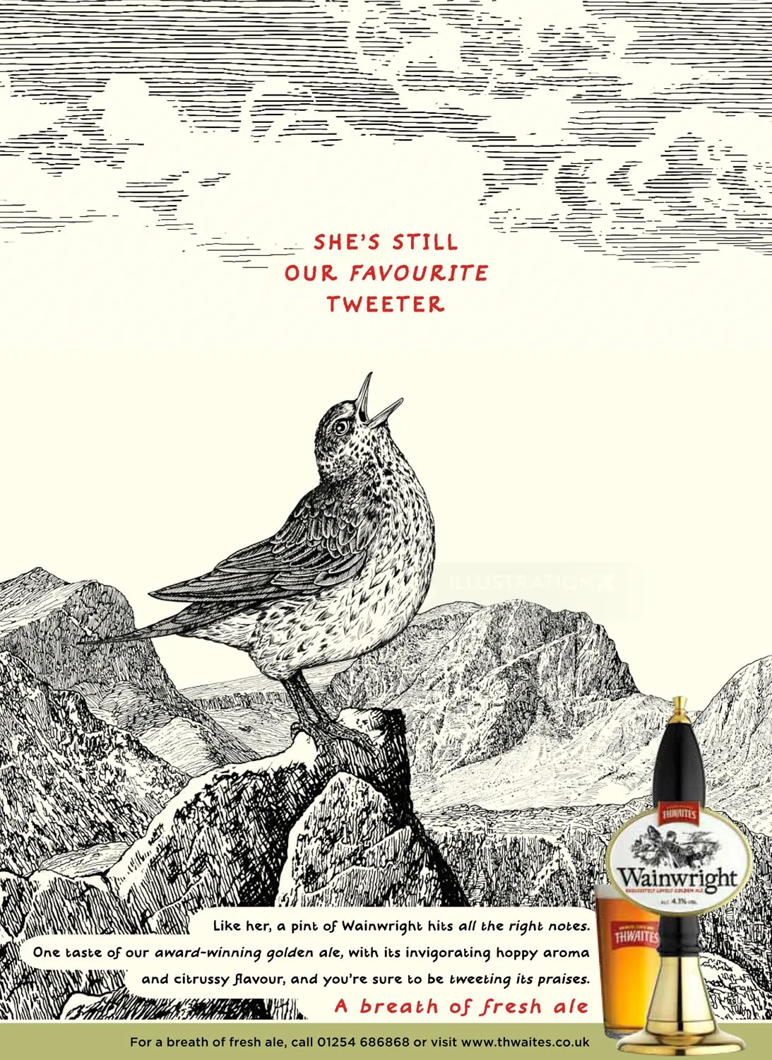 Bird Tweeter art for Thwaites Wainwright