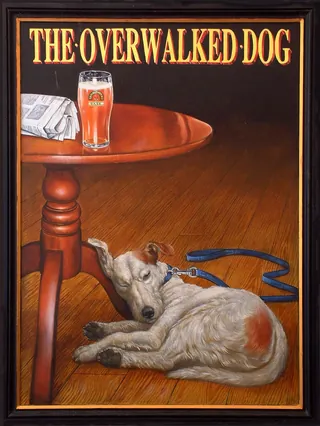 Painting of a tired dog lying under a table with a pint and newspaper by Bob Venables