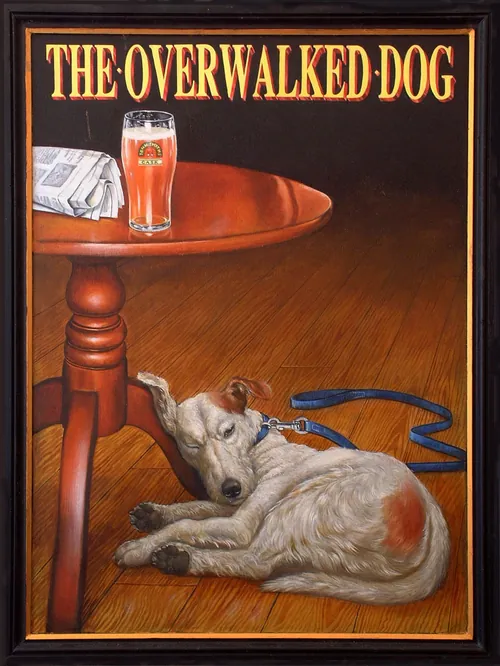Painting of a tired dog lying under a table with a pint and newspaper by Bob Venables