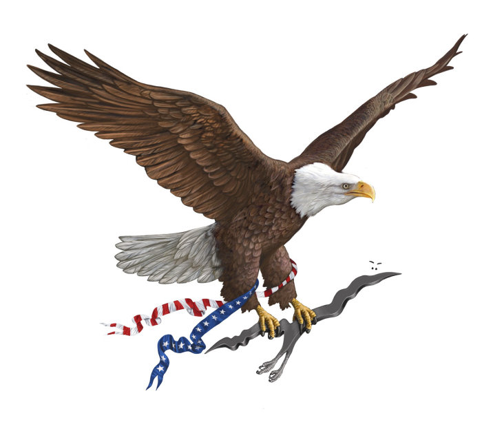 Flying Bald Eagle bird illustration