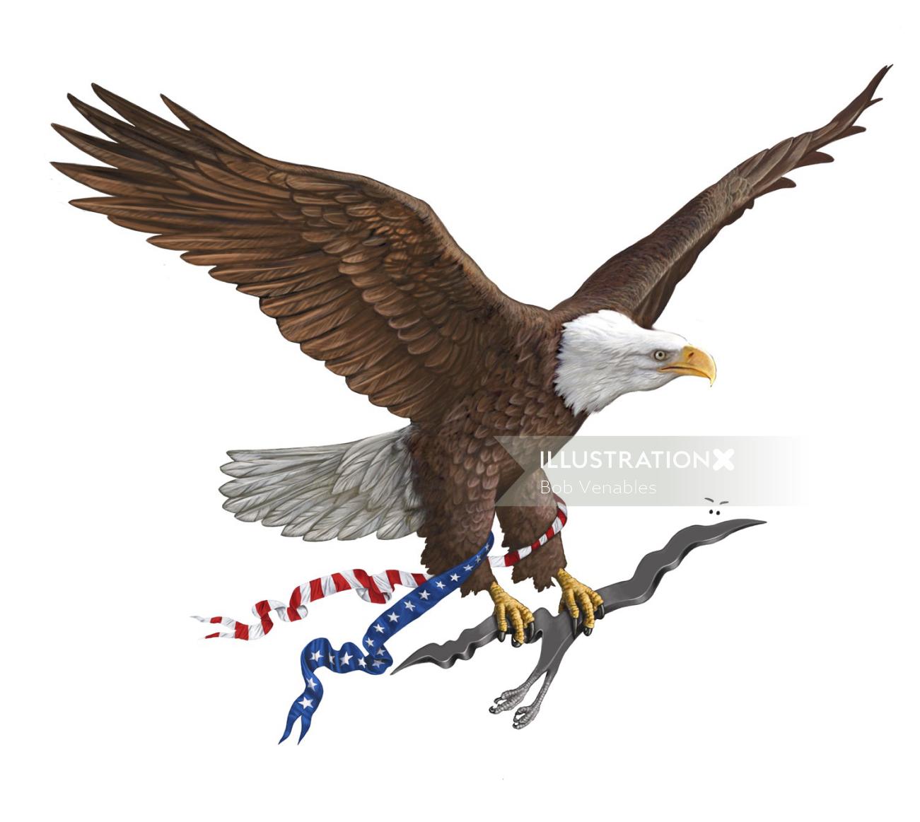 空飛ぶ白頭ワシの鳥のイラスト