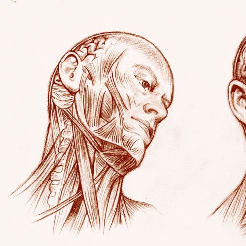 Human Head figure digital art