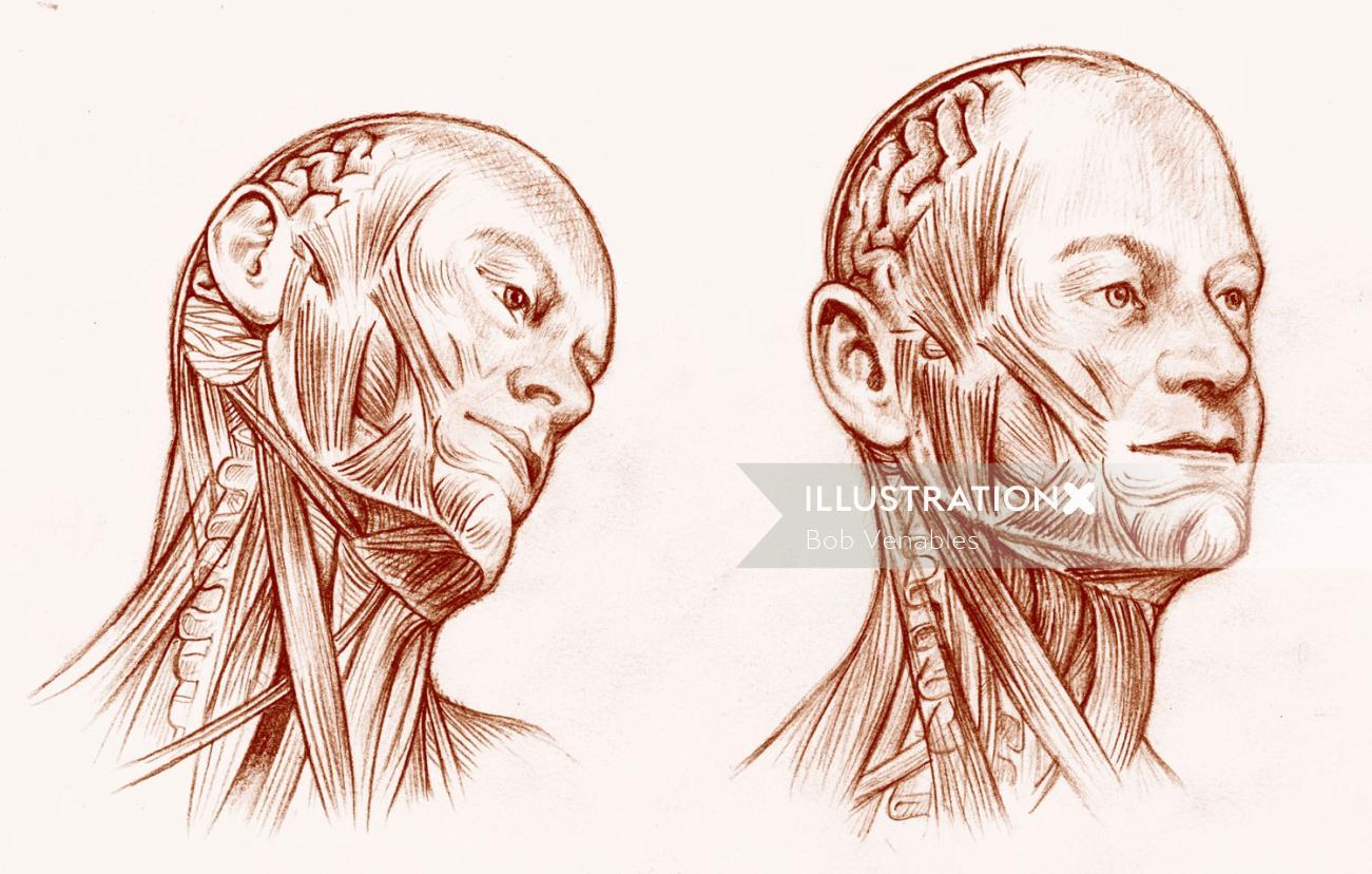 人間の頭の形のデジタルアート