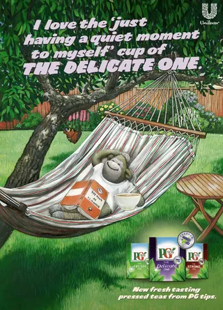 poster design for New fresh tasting pressed teas from PG tips