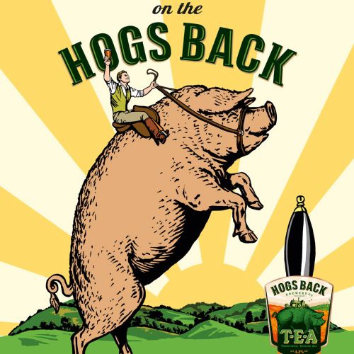 Advertising illustration of Hogs Back Tea