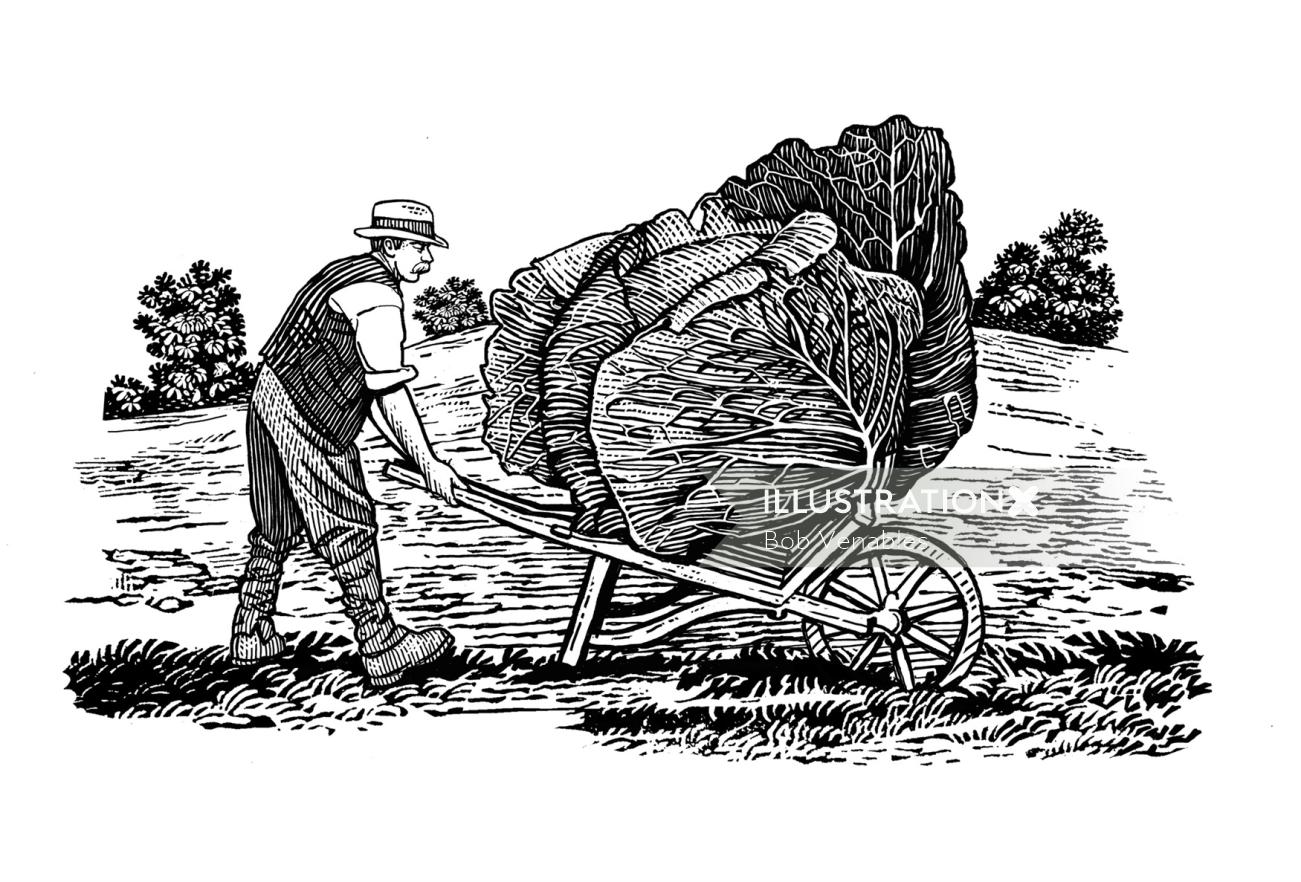 Agricultor segurando arte de gravura em madeira de repolho