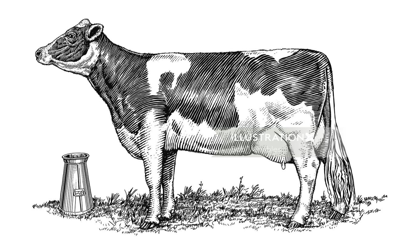 Ilustração em preto e branco de vaca leiteira